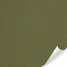 SCB2 Olive green