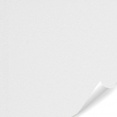 SCB5 Polar White