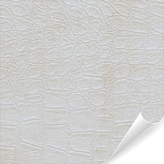 NG19 White bronzed leather