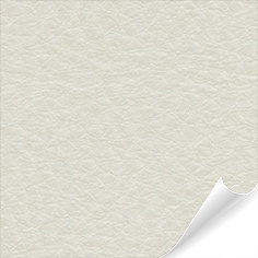 NE43 Light Cream Leather