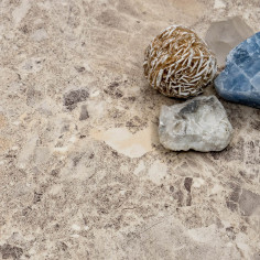 NG01 Lombarda Bianco 2