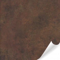 W6 Rust