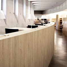 AF08 Light Grey Oak 2