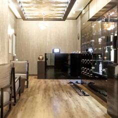 NE13 Shimmery Golden Wood 2