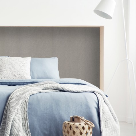 NE51 Soft Brushed Silver