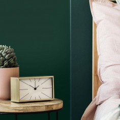 NF13 Soft winter green 2